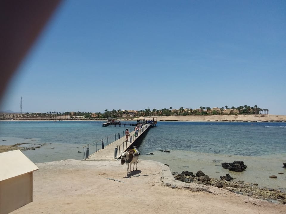 Strand Jaz Dar EL Madina