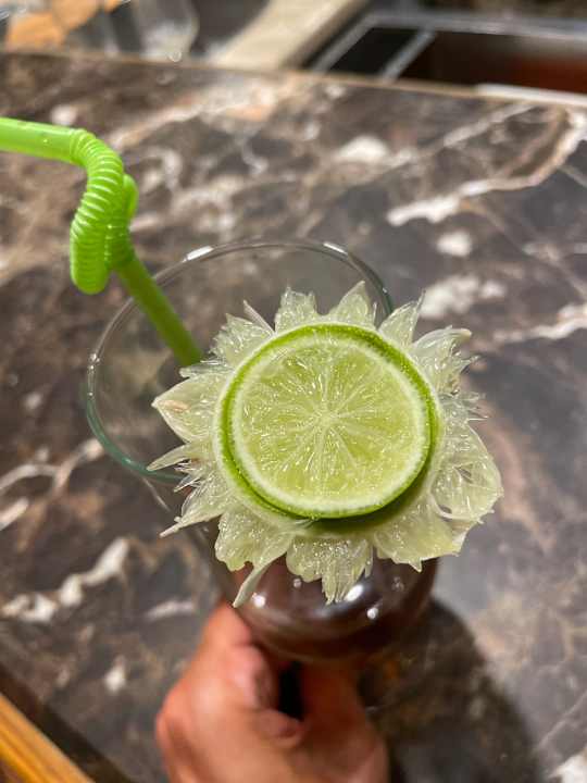 Gartenanlage Makadi Spa - Adults only