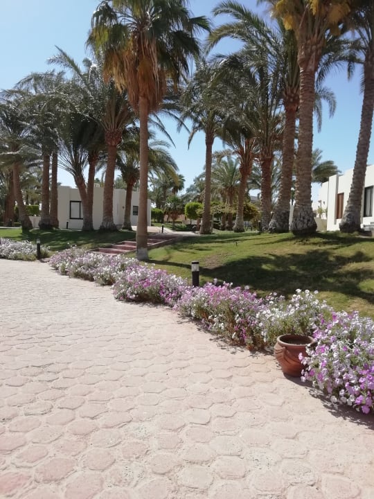 Gartenanlage Pharaoh Azur Resort