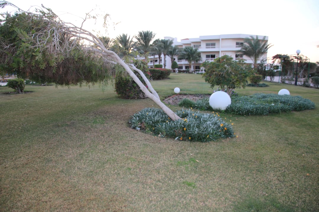 Garten Hurghada Long Beach Resort