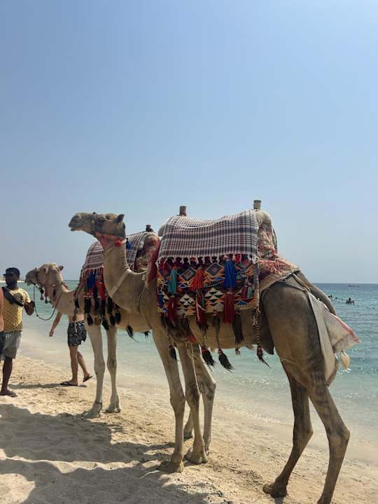 Strand Three Corners Sea Beach Resort