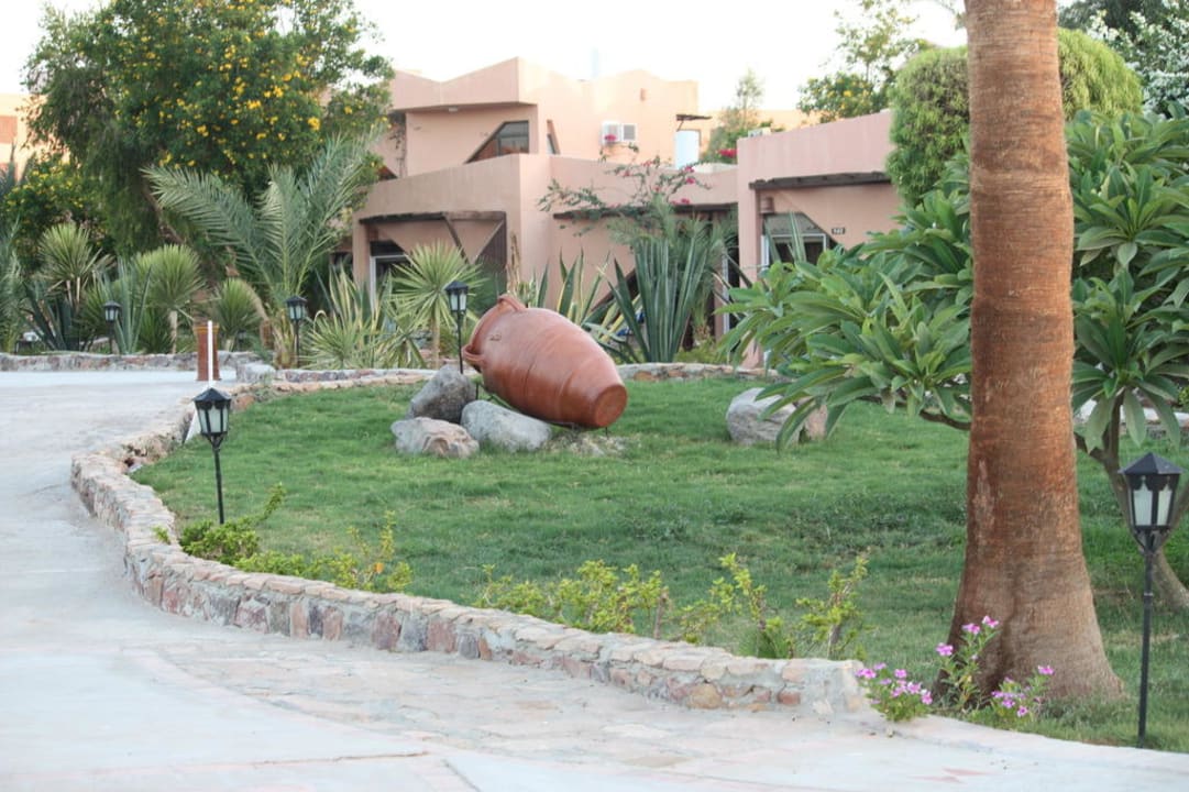 Gartenanlage Eagles Paradise Abu Soma