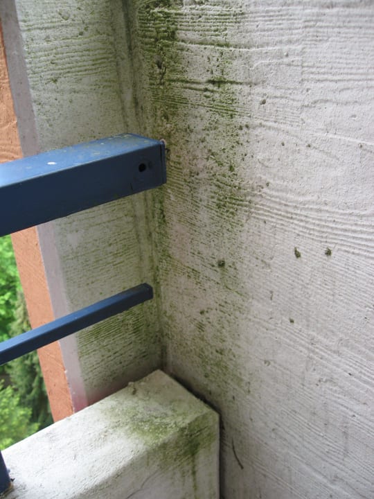 Geländer Balkon Panoramic - Ihr Apartmenthotel im Harz