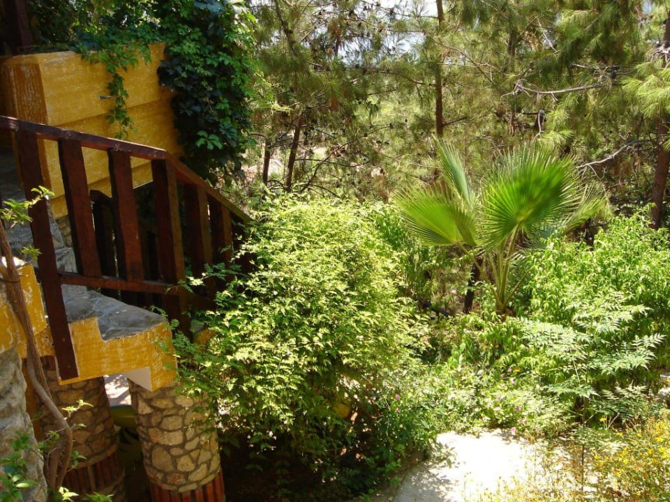 Grünanlage im oberen Anlagenteil Ölüdeniz Beach Resort by Z Hotels