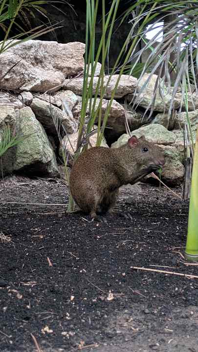 Sonstiges Viva Azteca by Wyndham - All Inclusive Resort