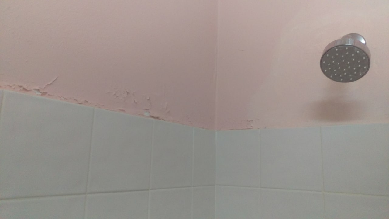 Zimmer Butterfly Beach Hotel