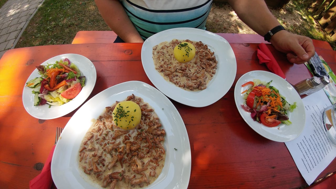 Gastro Gasthof Kolb