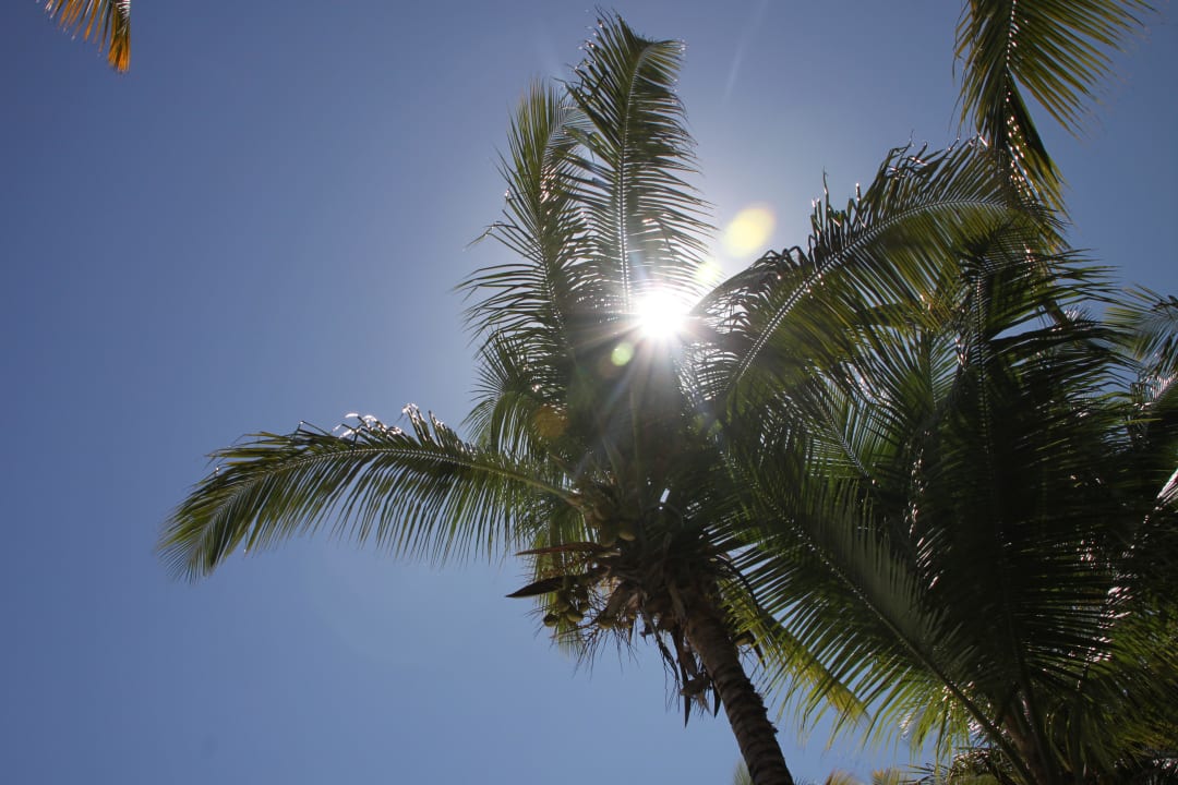 "Schattenspender"  Grand Palladium Select Bávaro Resort & Spa