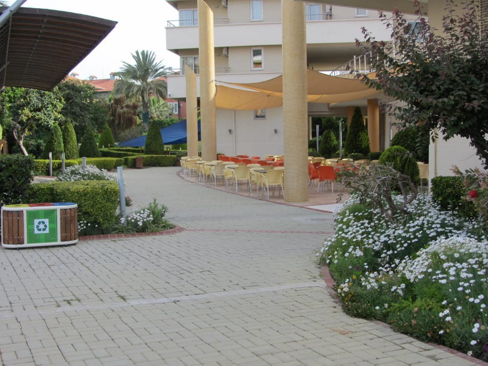 Snackbar Alaiye Resort & Spa