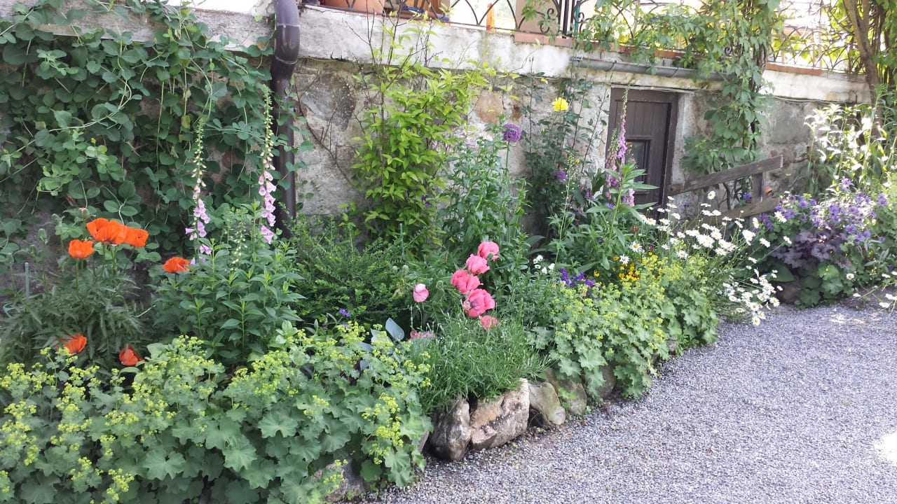 Schöne Bepflanzung Hotel Seebichl