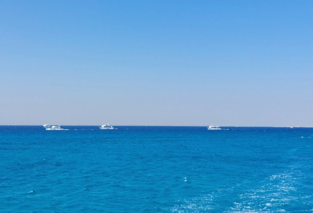 Sport & Freizeit Desert Rose