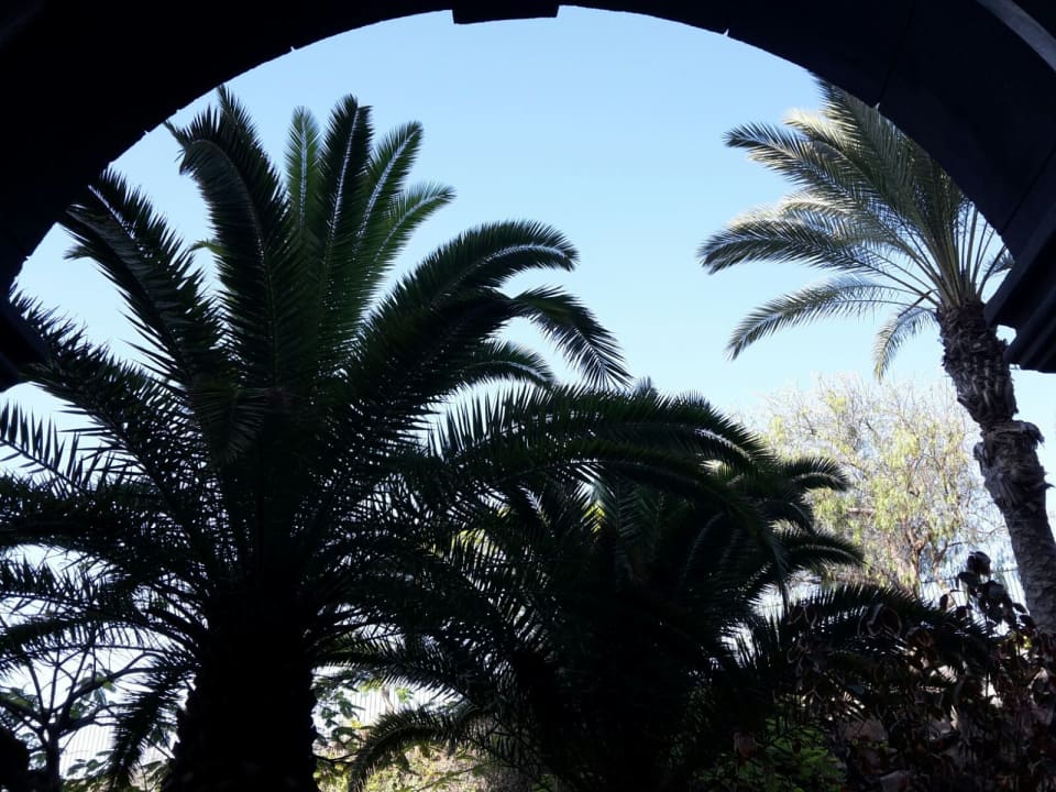 Gartenanlage R2 Rio Calma Hotel & Spa & Conference