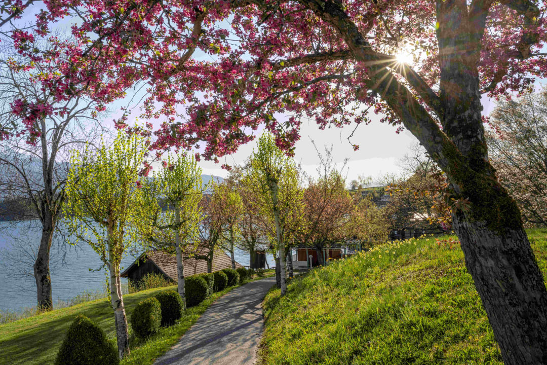 Gartenanlage Hotel Karnerhof