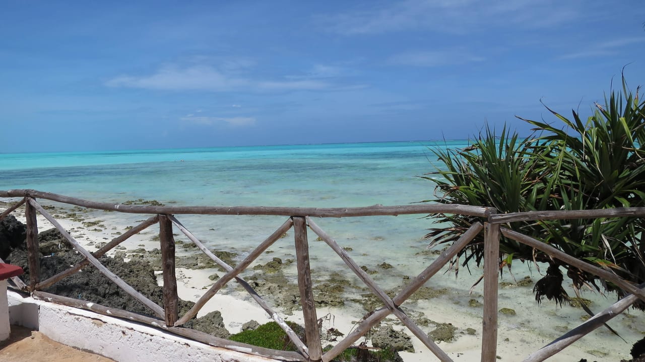 Felsen und Korallen am Strand Reef & Beach Resort