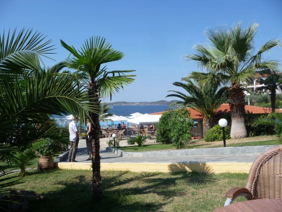 Blick über Poolbar und Pool Akrathos Beach Hotel