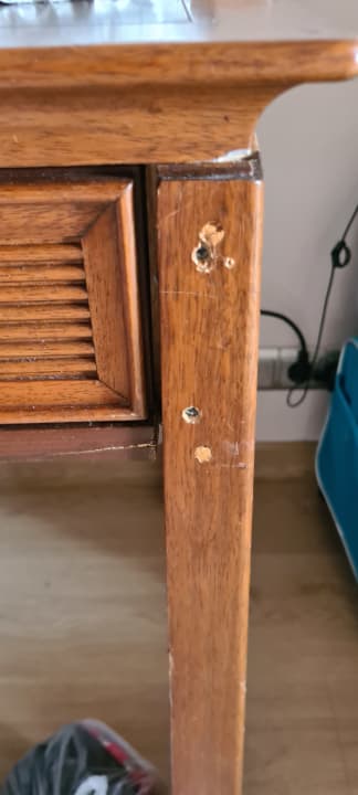 Zimmer Asteria Family Belek