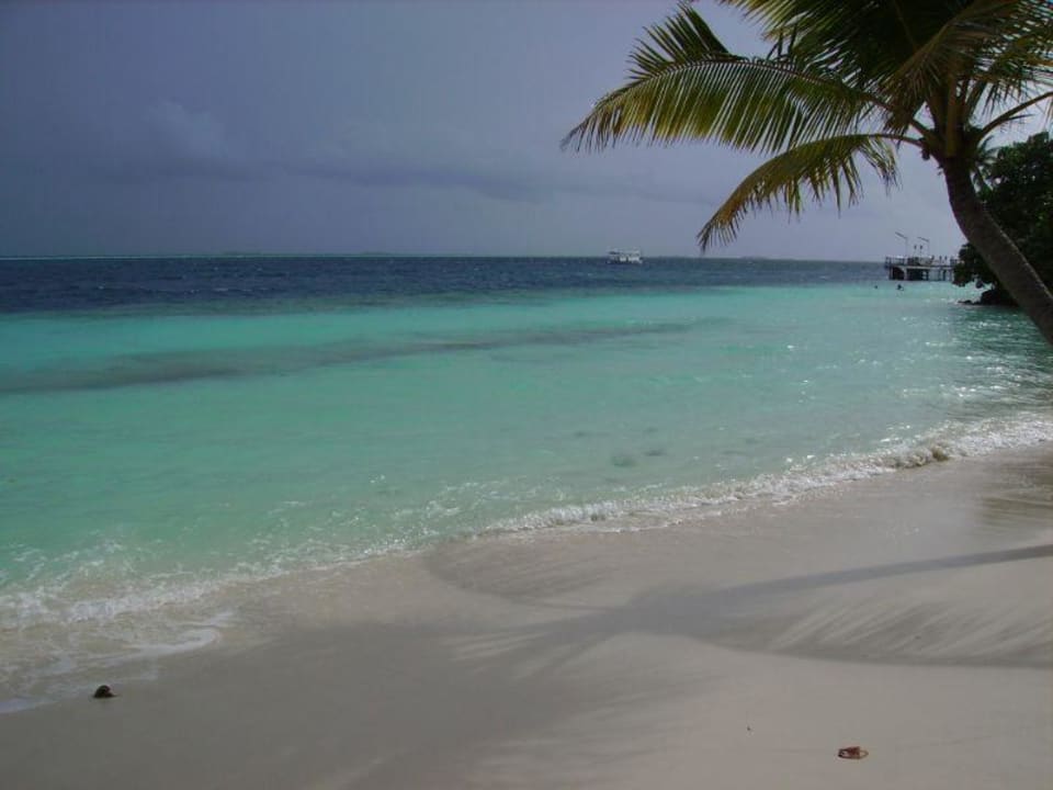 schönes Meer Vilamendhoo Island Resort & Spa