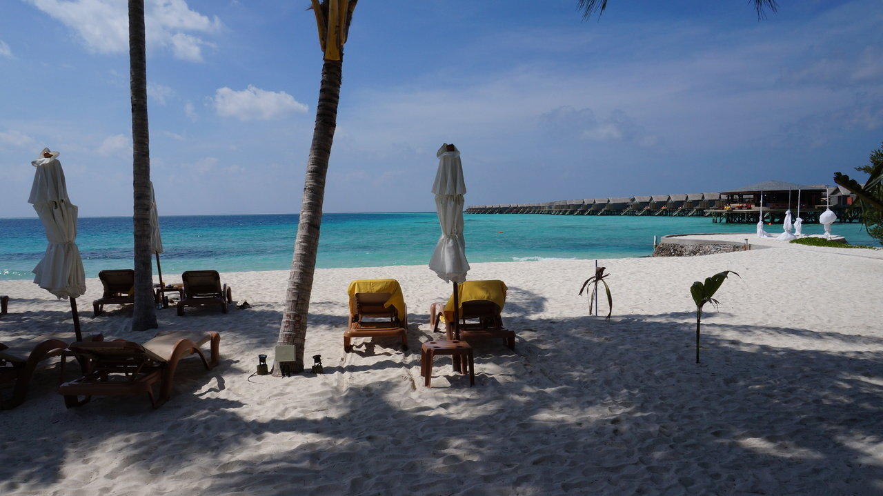 Strandausblick Centara Ras Fushi Resort & Spa Maldives