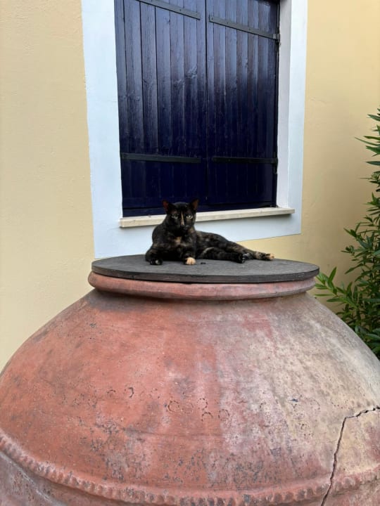 Gartenanlage Kefalos Beach Holiday Village