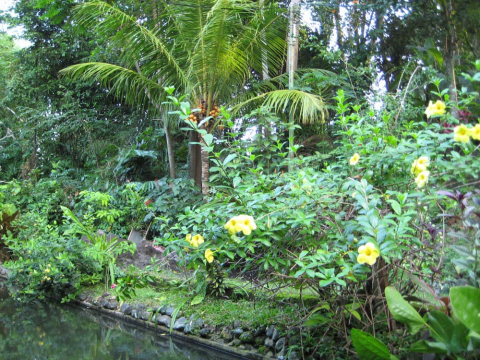 Garten Jiwa Damai Jiwa Damai Retreat Bali