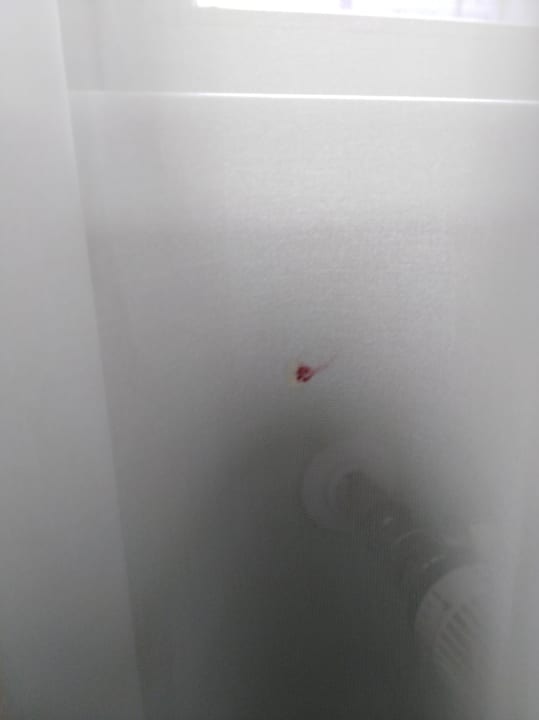 Gardine war überall fleckig... AKTIVHOTEL Weisser Hirsch