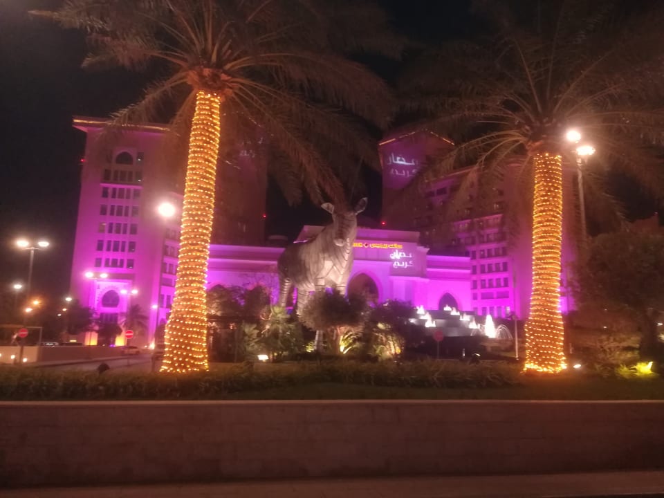 Außenansicht The St. Regis Doha