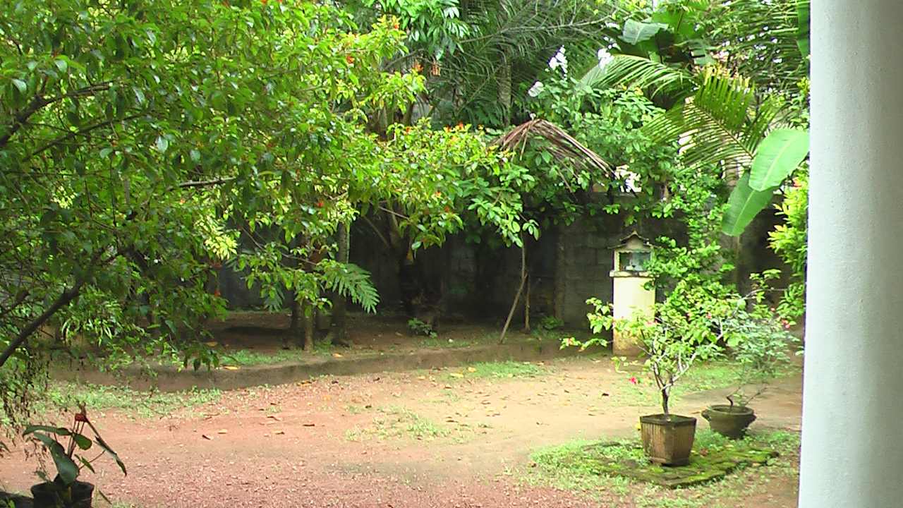 Außenansicht Sunshine Guesthouse