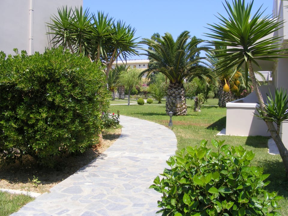 Alles schön grün in der Anlage Hotel Esperia