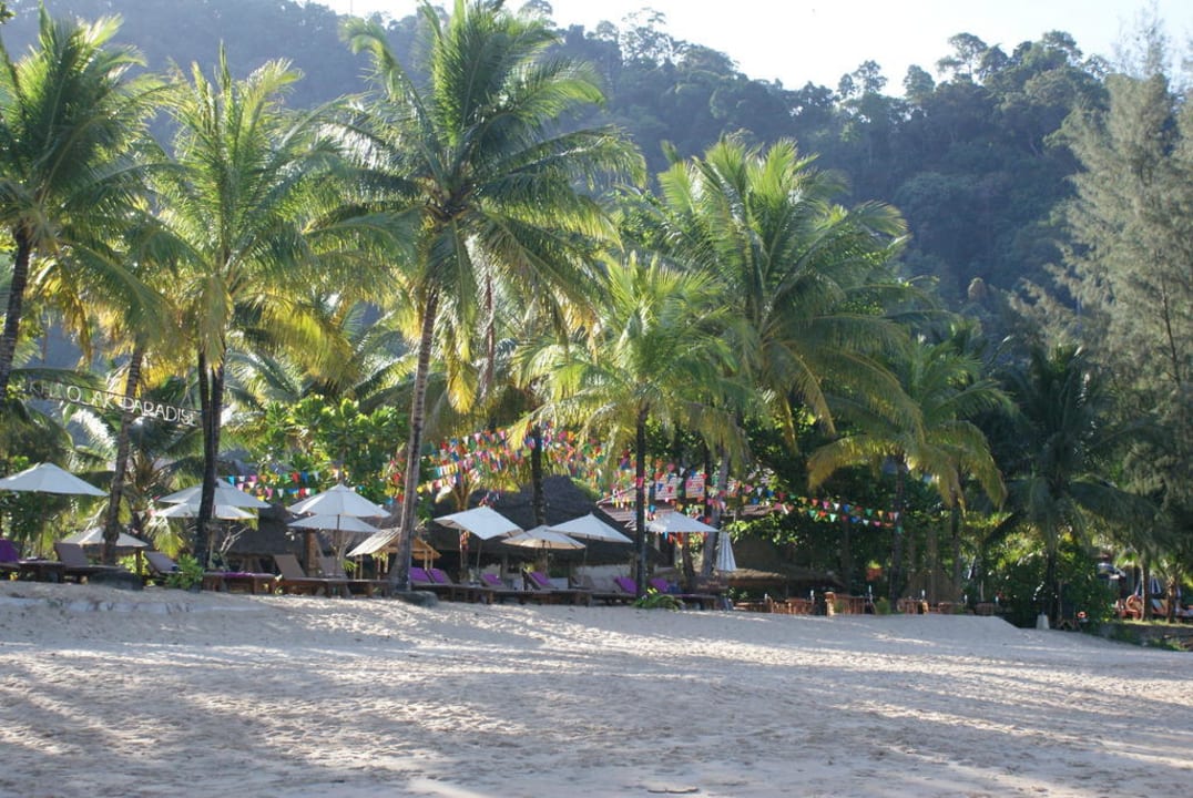 Blick vom Strand aufs Hotel Khaolak Paradise Resort