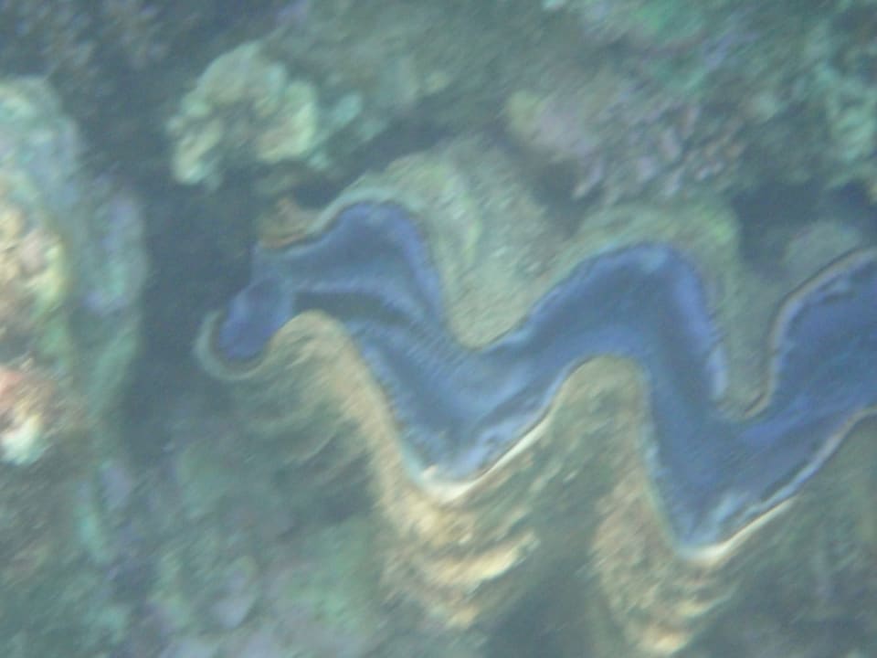 Strand Cleopatra Luxury Resort Makadi Bay