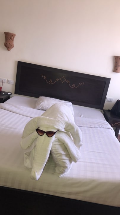 Zimmer Three Corners Sea Beach Resort