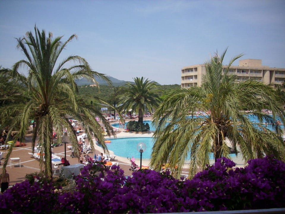 Blick auf den Pool Hotel Club Cala Romani