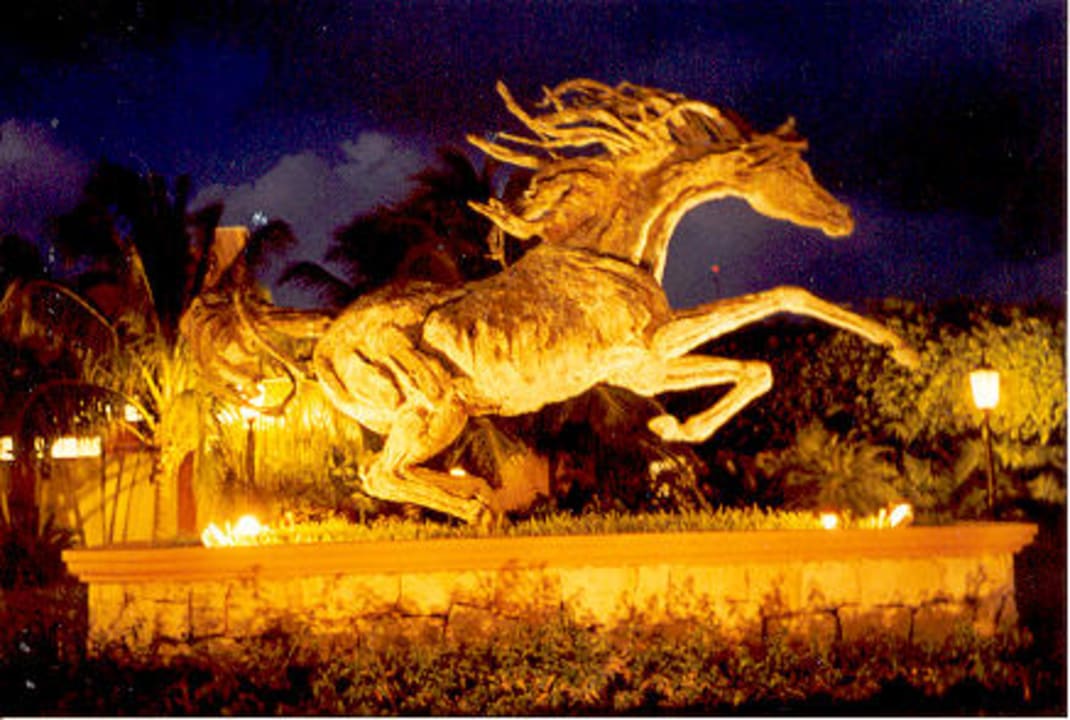 RIU Tequila (vor dem Hotel bei Nacht) Hotel Riu Tequila