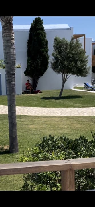 Gartenanlage Mitsis Selection Blue Domes