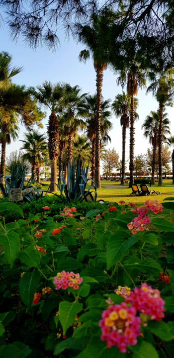 Gartenanlage Balmy Foresta