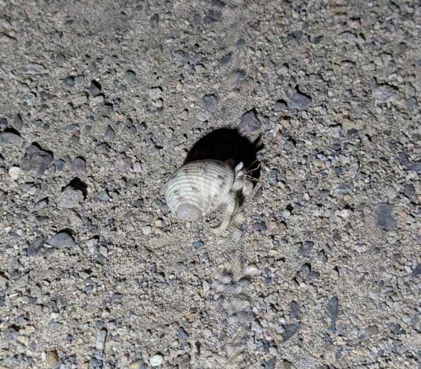 Strand Three Corners Equinox Beach Resort