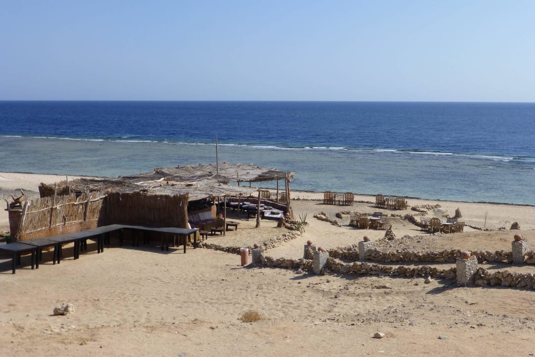 Bar The Oasis Dive Resort