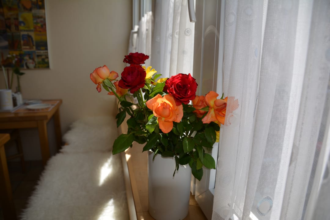 Gastro Hotel Lex im Gartenhof