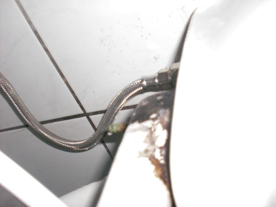 Toilettenbenutzung eckelhaft Kamelya Aishen Club