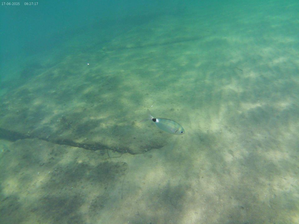 Strand Golden Coast Hotel & Bungalows