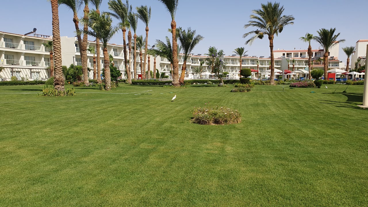 Gartenanlage Amarina Abu Soma Resort & Aquapark
