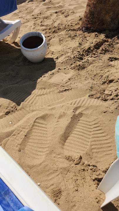 Zimmer Hotel Süral Resort