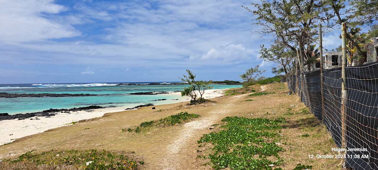 Strand Friday Attitude