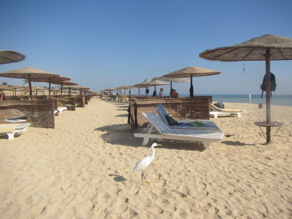 Strand Hotel Gorgonia Beach Resort