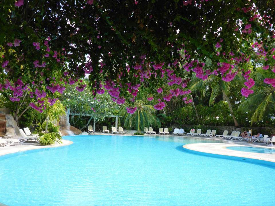 Pool bei Spa Kuramathi Maldives