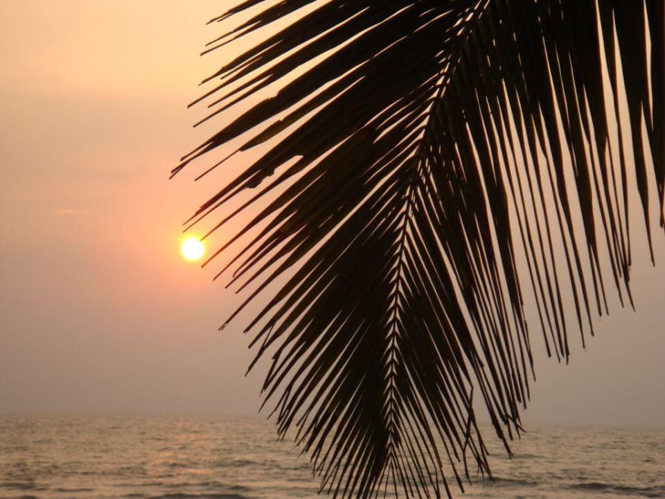 The Leela Palace Hotel The Leela Goa