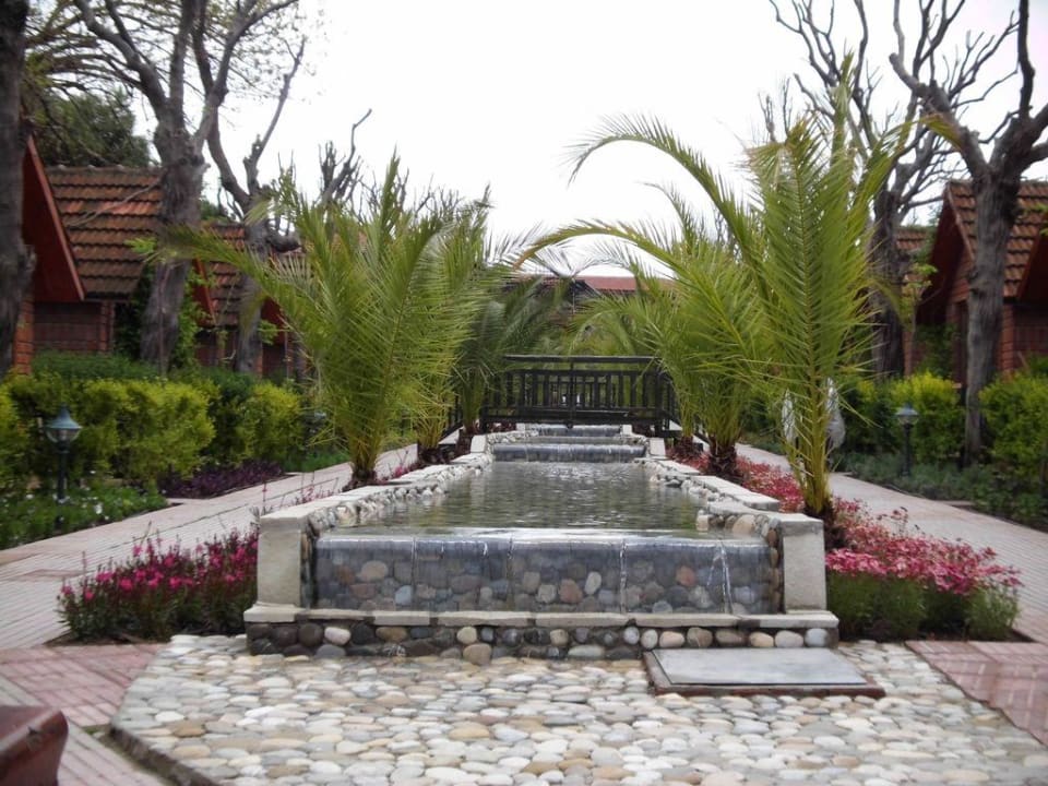 Garten Can Garden Beach