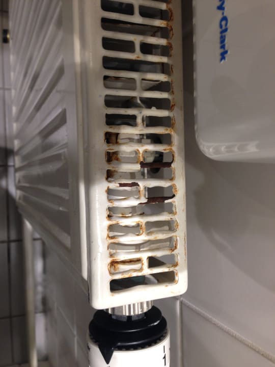 Zimmer AHORN Waldhotel Altenberg