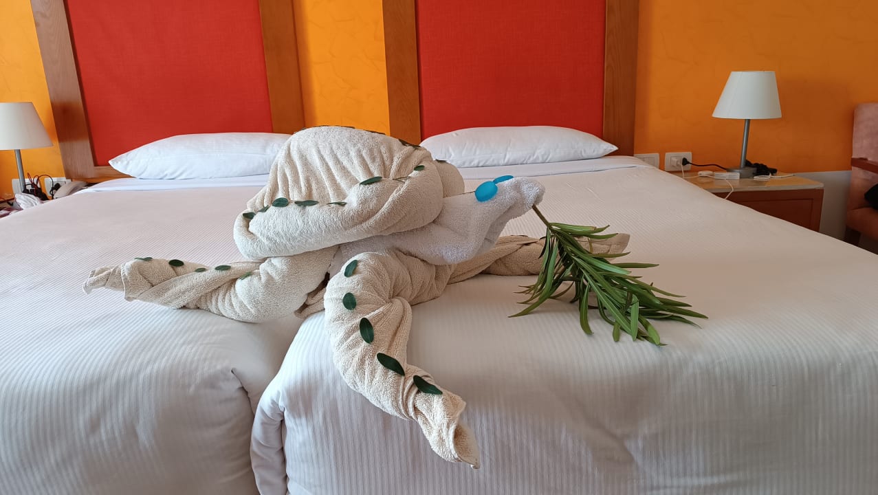 Zimmer Hotel Gorgonia Beach Resort