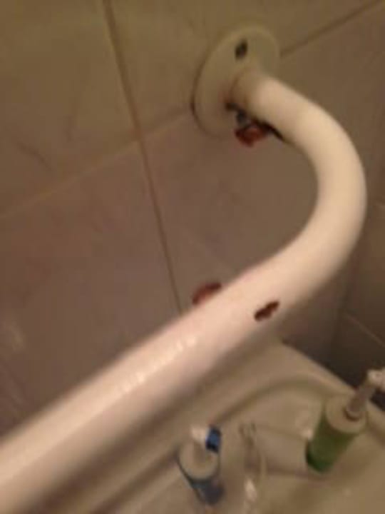 Bad ohne Ablage, aber mit toter Heuschrecke Hotel Fortuna City